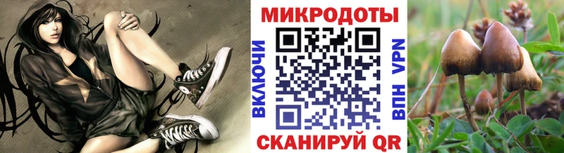 Галлюциногенные грибы Psilocybine cubensis  закладка  гидра вход  Волосово 